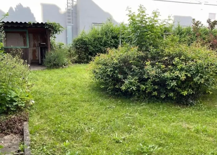 Leoben 3 3 People 4 *